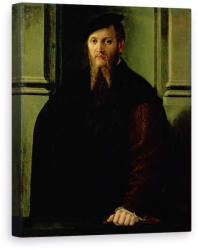Norand Tablou Canvas - Parmigianino - Portretul unui barbat (B165749)