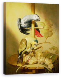 Norand Tablou Canvas - Jacob Fransz van der Merck - Un gri african si un papagal amazon cu aripi portocalii pe un biban cu struguri (B58560-4050)