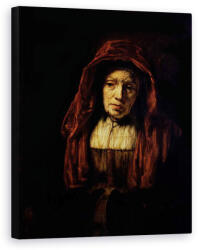 Norand Tablou Canvas - Rembrandt Harmensz van Rijn - Portret De O Femeie Vechi (B50143-4050)