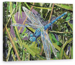 Norand Tablou Canvas - Kirstie Adamson - Blue Dragonfly (B3435238)