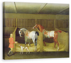 Norand Tablou Canvas - James Seymour - Grajdurile si doi cai de alergare faimosi apartinand Altetei Sale, Ducele de Bolton (B158510-4050)