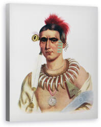 Norand Tablou Canvas - Scoal Americana - Ma-Has-Kah sau Norul Alb, un sef Iowa, ilustratie din Triburile indiene din America de Nord, Vol. 1, de Thomas L. McKenney si James Hall (B122953-4050)