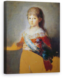 Norand Tablou Canvas - Francisco Jose de Goya y Lucientes - Infante Francisco de Paula (B498151)