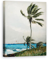 Norand Tablou Canvas - Winslow Homer - Palmier, Nassau (B3468947)