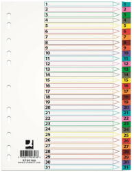 Q-CONNECT Index carton Mylar numeric 1-31, margine color, Q-Connect (KF00166)