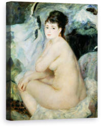 Norand Tablou Canvas - Pierre Auguste Renoir - Nud sau Nud asezat pe o canapea (B37592)