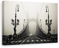 Norand Tablou canvas - Podul, Budapesta, Ungaria, Lampi (03660)