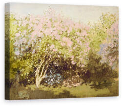 Norand Tablou Canvas - Claude Monet - Liliac in Soare (B182548)