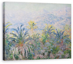 Norand Tablou Canvas - Claude Monet - Palmieri la Bordighera (B3472143-4050)
