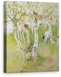Norand Tablou Canvas - Carl Larsson - Nud Boy printre Birches (B3086680)
