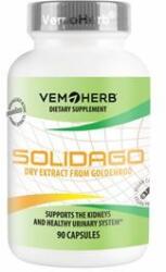 VemoHerb Solidago 90 kapszula (Közönséges aranyvessző) 90 kapslí (49, 5 g)