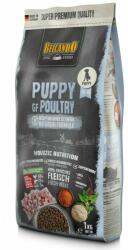 BELCANDO Belcando Puppy GF Poultry 1 kg