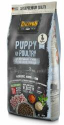 BELCANDO Belcando Puppy GF Poultry 4 kg