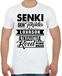 printfashion Tökéletes lovasok - Férfi póló - Fehér (13998261)