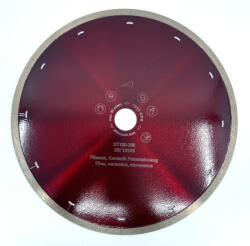 CRIANO DiamantatExpert 250 mm (DXDH.3907.250.30) Disc de taiere