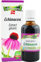 ADNATURA Extract Gliceric Echinacea fara Alcool 50ml