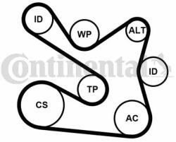 Continental Ctam Pompa apa + Set curea transmisie cu caneluri CONTINENTAL CTAM 7PK1605WP1 (7PK1605WP1) - automobilus