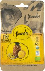 Fruandes Ananas deshidratat BIO, 30g, Fruandes