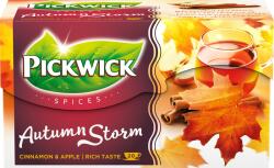 Pickwick Condimente Autumn Storm 20 x 2g