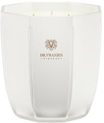 Dr. Vranjes Firenze Ginger Lime Scented Candle Illatgyertya 500 g
