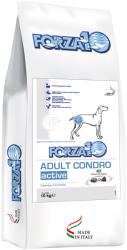FORZA10 Active Line Dog 10kg Forza 10 Active Line - Adult Condro All Breeds száraz kutyatáp
