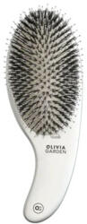 Olivia Garden Perie de par mistret+nailon Expert Care Curve Silver (5414343020925)