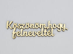  Natúr fa - "Köszönöm, hogy felneveltél" felirat 4x15cm - kosarbolt