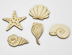  Natúr fa - Kagyló-csiga csomag 4-6cm 5db/csomag