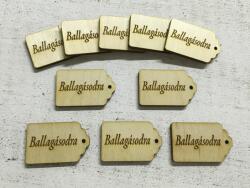 Natúr fa - Scrapbook kísérő táblák "Ballagásodra" 10db/csomag - kosarbolt