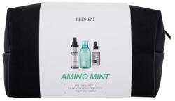 Redken Amino-Mint Shampoo set cadou set
