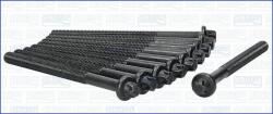 AJUSA Set surub, chiulasa AJUSA 81029300 (81029300)