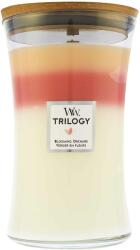 WoodWick Trilogy Blooming Orchard lumânare parfumată cu fitil de lemn 609 g