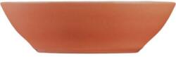 Lilien Castronaș 0, 78 l Daisy Lilien roz-portocaliu 18 cm