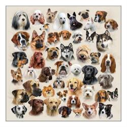 Szalvéta 33x33cm 20db/csomag Collection of Dogs, Kutyagyűjtemény (AMB.13317675)