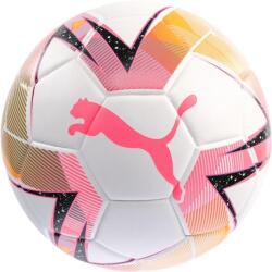 PUMA Futsal 1 Tb Fifa Quality Pro 4