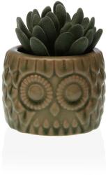 VERSA Planta decorativa din ceramica, plastic 10.16X7.62X7.62 (21570016)