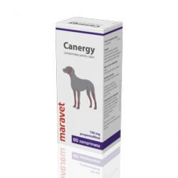 LeVet Canergy 100 mg 6 X 10 Tablete