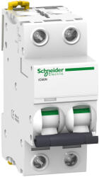 Schneider Siguranta automata 6A 2P 6ka B Activ9 Ic60N Schneider A9F73206 (A9F73206)