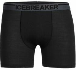 ICEBREAKER Boxeri funcționali pentru bărbați Anatomica Icebreaker - Negru mărimi îmbrăcăminte XXL (2-0200-14-XXL)