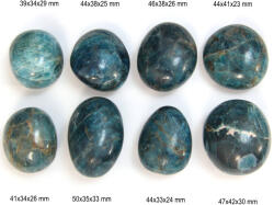 Palm Stone Apatit Albastru Mineral Natural - 39-50 x 33-42 x 23-33 mm - (XXL) - 1 Buc