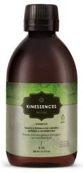  Kinessences Restore mélyen és tartósan regeneráló sampon sérült hajra - fodraszkellekshop - 6 749 Ft