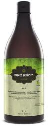  Kinessences Restore mélyen és tartósan regeneráló sampon sérült hajra - fodraszkellekshop - 15 089 Ft