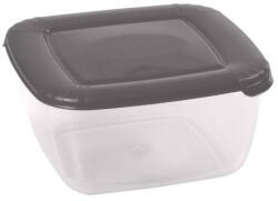 Domotti Caserola cu capac gri 0.46L, Albert (83493)