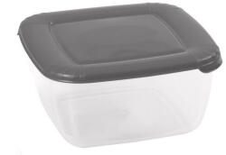 Domotti Caserola cu capac gri 2.5L, Albert (85456)