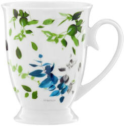 Ambition Cana cu talpa 300ml, Bizet (50963)