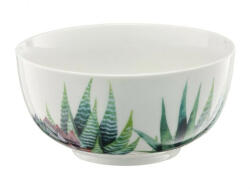 Ambition Bol mic 13cm, model aloe, Cactus (99310) Castron