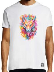 Magnolion Színes sárkány v3 póló