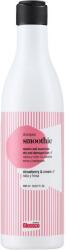 Glossco Professional Șampon cu efect de netezire - Glossco Treatment Smoothie Shampoo 1000 ml