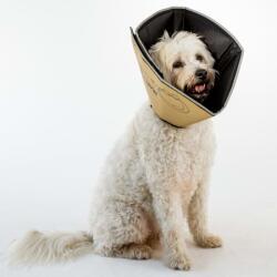 All Four Paws Guler protector animale Comfy Cone M, cafeniu, 20 cm CCMT (433850)