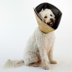 All Four Paws Guler protector animale Comfy Cone XXL, cafeniu, 37, 5 cm CCXXLT (433854)